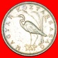 + VOGEL (1992-2011): UNGARN ★ 5 FORINT 2001! OHNE VORBEHALT!