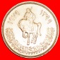 + REITER: LIBYEN ★ 100 DIRHAM 1399-1979 STG STEMPELGLANZ! OH...