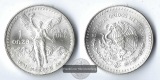 Mexiko  1oz  1991  Libertad    FM-Frankfurt  Feinsilber: 31,1g