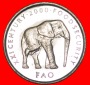 · ELEFANT (1999-2002): SOMALIA ★ 5 SHILLINGS 2000 uSTG STEM...