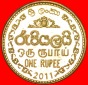 · LÖWE: SRI LANKA ★ 1 RUPEE 2011 uSTG STEMPELGLANZ! OHNE V...