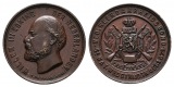 Linnartz Niederlande Bronzemedaille 1873 (Vries) a.d. Wettstre...
