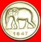 • SÜDAFRIKA ELEFANT (1946-1947): BELGISCHER KONGO ★ 2 FRA...