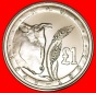 • FAO 1945 STIER: ZYPERN ★  1 PFUND 1995 SELTEN! STG STEMP...