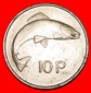 • FISCH (1969-1986): IRLAND ★ 10 PENCE 1982! OHNE VORBEHALT!