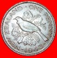 * VOGEL: NEUSEELAND ★ PENNY 1943! KRIEGSZEIT (1939-1945)! GE...