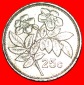 * ROSE (1991-2007): MALTA ★ 25 CENTS 1991! OHNE VORBEHALT!