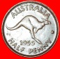 * KÄNGURU RECHT: AUSTRALIEN ★ 1/2 PENNY 1955 PERTH! OHNE VO...