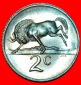 * AFRIKAANISCHES LEGENDE mit GNUS: SÜDAFRIKA ★ 2 CENTS 1965...