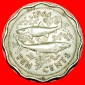 * GROSSBRITANNIEN (1966-1970): BAHAMAS ★ 10 CENTS 1966! FISC...