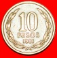 * ENGEL 1973: CHILE ★ 10 PESOS 1981! OHNE VORBEHALT!