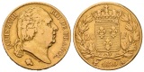 5,81 g Feingold. Louis XVIII. (1815 - 1824)