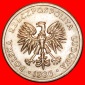 * STERNE AUF ADLER: POLEN ★ 20 ZLOTY 1986! ENTDECKUNG MÜNZE...