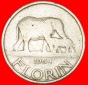 * ELEFANT: MALAWI ★ FLORIN 1964! JAHR=TYP! OHNE VORBEHALT!