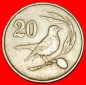 * JAHR = TYP: ZYPERN ★ 20 CENTS 1983 VÖGEL! GROSSBRITANNIEN...