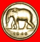 * SÜDAFRIKA ELEFANT (1946-1947): BELGISCHER KONGO ★ 2 FRANK...