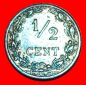 * WUCHERND LÖWE (1903-1906): NIEDERLANDE ★ 1/2 CENT 1906! W...