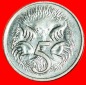 * ECHIDNAS (1966-2022) ★AUSTRALIEN★ 5 CENT 1976 uSTG!★OH...