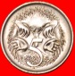 * ECHIDNAS (1966-2022): AUSTRALIEN ★ 5 CENT 1980 uSTG STEMPE...