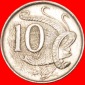 * LEIERVOGEL (1966-2022): AUSTRALIEN ★ 10 CENT 1977! ★OHNE...