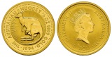 15,55 g Feingold. Hübschgesichtwallaby