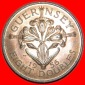 Ⰶ LILIE ★ GUERNSEY ★ 8 DOUBLES 1956 uSTG! ELISABETH II. ...