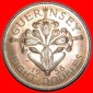 * LILIE ★ GUERNSEY ★ 8 DOUBLES 1956 uSTG!  OHNE VORBEHALT!