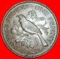 * TUI VOGEL (1940-1947): NEUSEELAND ★ PENNY 1947! GEORG VI. ...