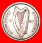 * HASE (1928-1935): IRLAND ★ 3 PENCE 1933 INTERESSANTES JAHR...