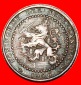 * WUCHERND LÖWE (1902-1907): NIEDERLANDE ★ 1 CENT 1906! WIL...