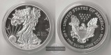 USA  1 Dollar   2019 W   American Eagle  FM-Frankfurt   Feinsi...