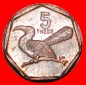 * SÜDAFRIKA (1998-2009): BOTSWANA ★ 5 THEBE 2009 VOGEL!★O...