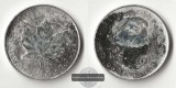 Kanada  5 Dollar Maple Leaf 2008  FM-Frankfurt Feinsilber: 31,1g