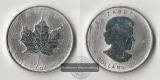 Kanada  5 Dollar Maple Leaf 2008  FM-Frankfurt Feinsilber: 31,1g