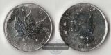 Kanada  5 Dollar Maple Leaf 2008  FM-Frankfurt Feinsilber: 31,1g