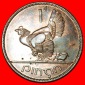 * GROSSBRITANNIEN (1938-1968): IRLAND ★ 1 PENNY 1968!★OHNE...