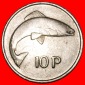 * FISCH (1969-1986): IRLAND ★ 10 PENCE 1980!★OHNE VORBEHALT!