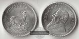Südafrika Krügerrand  2022  Krügerrand FM-Frankfurt Feinsil...