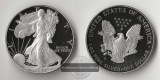 USA  1 Dollar  1999  American Eagle   FM-Frankfurt     Feinsil...