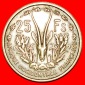 * FRANKREICH: FRANZÖSISCH-WESTAFRIKA ★ 25 FRANCS 1956! OHNE...