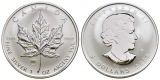 31,1 g Feinsilber. Maple Leaf mit Privy Mark Brandenburger Tor