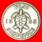 * GROSSBRITANNIEN (1953-1967): FIJI★6 PENCE 1953 SCHILDKRÖT...