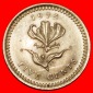 * SÜDAFRIKA (1975-1977):RHODESIEN★5 CENT 1975 LILIEN SIMBAB...