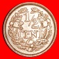 * WUCHERND LÖWE (1909-1940): NIEDERLANDE ~ 1/2 CENT 1938! WIL...