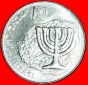 *REPLIK DER MÜNZE Antigonos 40-37 v.d.Z.:PALÄSTINA (israel)...