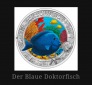 Österreich 3 Euro Meereswelten 2024 blauer Doktorfisch