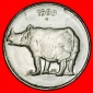 Ⰶ GESEILT NASHORN (1988-2002): INDIEN ★ 25 PAISE 1999 DIAM...