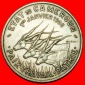 Ⰶ FRANKREICH: KAMERUN ★ 50 FRANCS 1960 3 ANTELOPEN! UNABH...