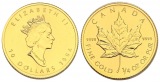 7,78 g Feingold. Maple Leaf