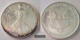 USA  1 Dollar  2007  American Eagle  FM-Frankfurt Feinsilber: ...